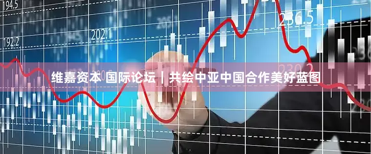 维嘉资本 国际论坛｜共绘中亚中国合作美好蓝图