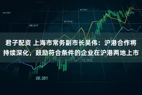 君子配资 上海市常务副市长吴伟：沪港合作将持续深化，鼓励符合条件的企业在沪港两地上市